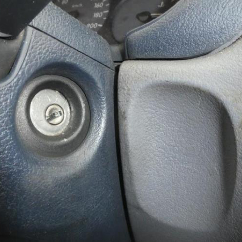 Porte avant gauche RENAULT CLIO 2 Photo n°8