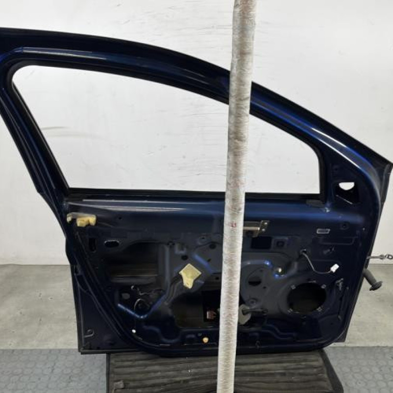 Porte avant gauche DACIA DUSTER 1 Photo n°4