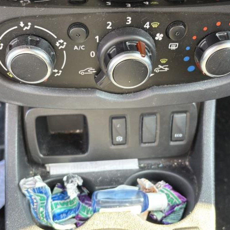 Porte avant gauche DACIA DUSTER 1 Photo n°13
