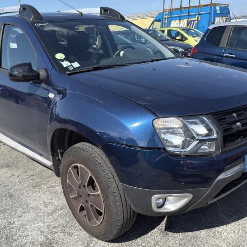 Porte avant gauche DACIA DUSTER 1 Photo n°17