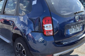 Porte avant gauche DACIA DUSTER 1