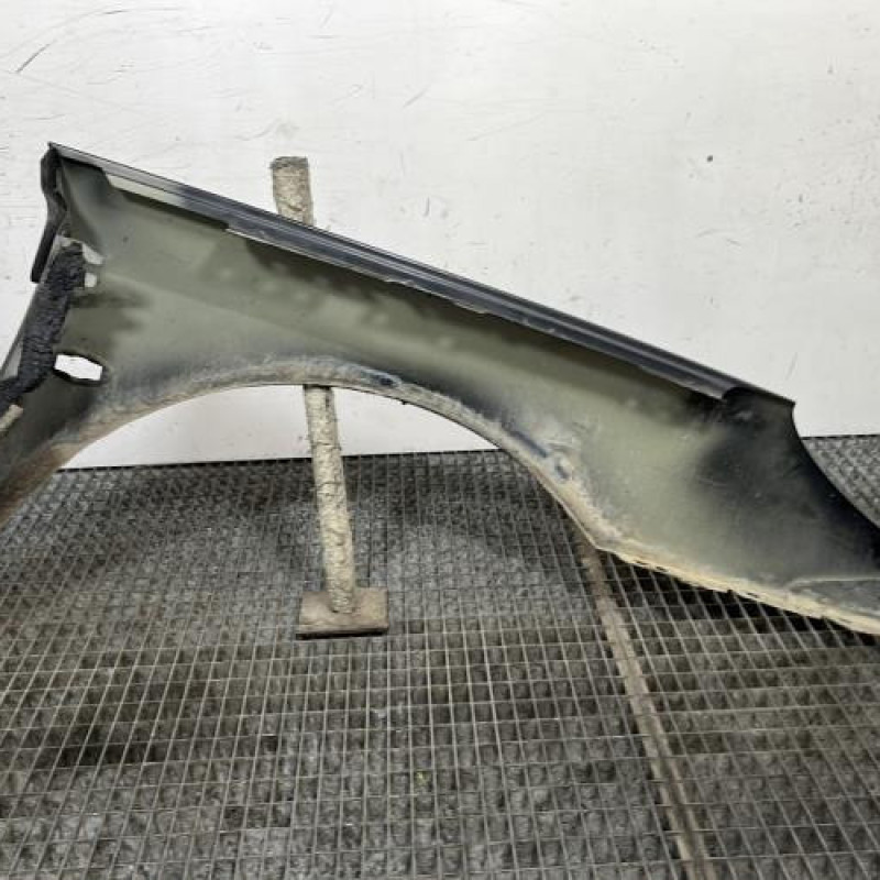 Aile avant gauche PEUGEOT 407 Photo n°6