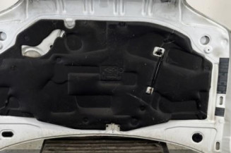 Capot RENAULT CLIO 1