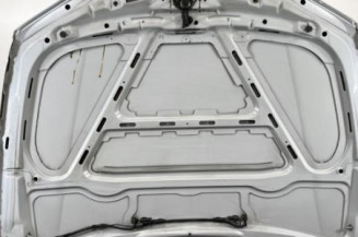 Capot BMW SERIE 1 E87