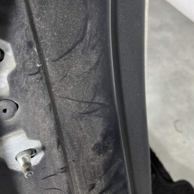 Porte arriere droit RENAULT MEGANE 3 Photo n°4