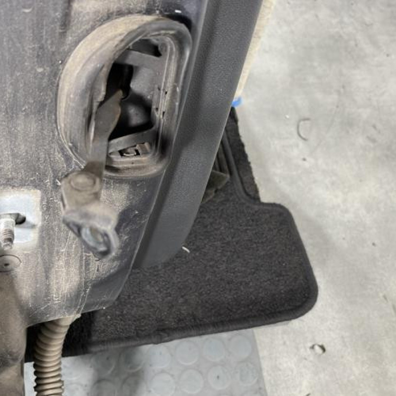 Porte arriere droit RENAULT MEGANE 3 Photo n°5