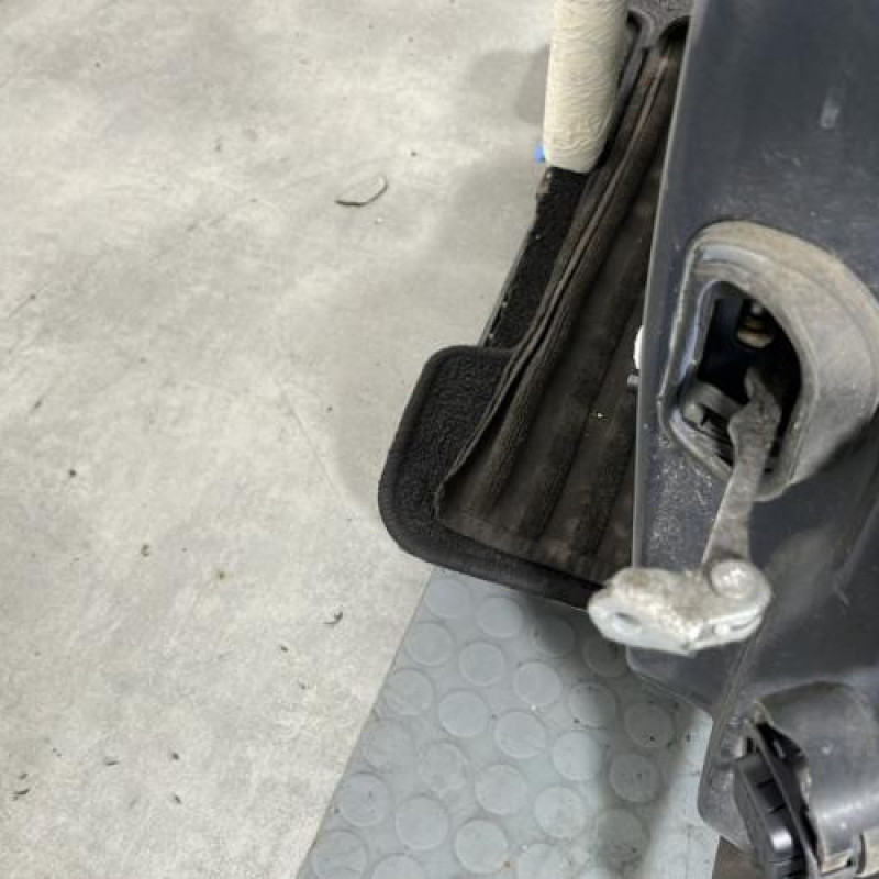 Porte avant gauche RENAULT MEGANE 3 Photo n°3