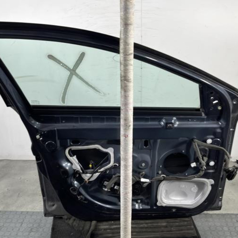 Porte avant gauche RENAULT MEGANE 3 Photo n°5