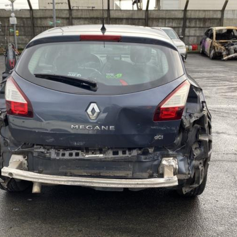 Porte avant gauche RENAULT MEGANE 3 Photo n°10