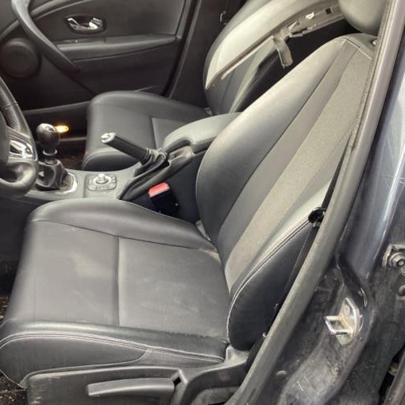 Porte avant gauche RENAULT MEGANE 3 Photo n°15