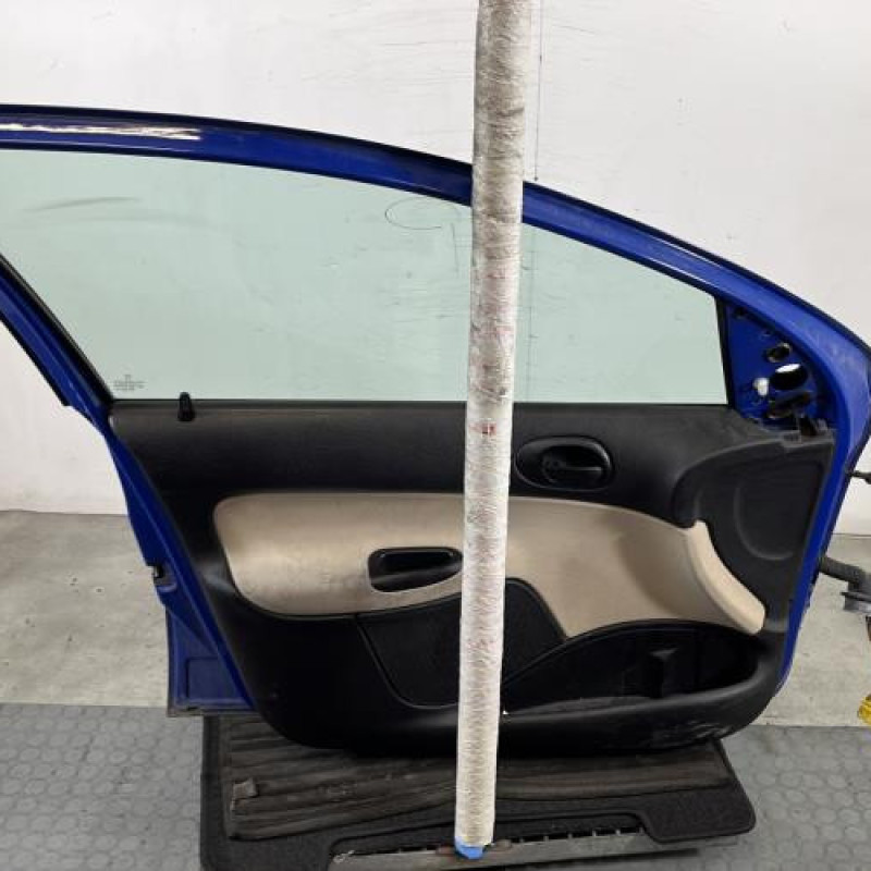Porte avant gauche PEUGEOT 206 Photo n°6