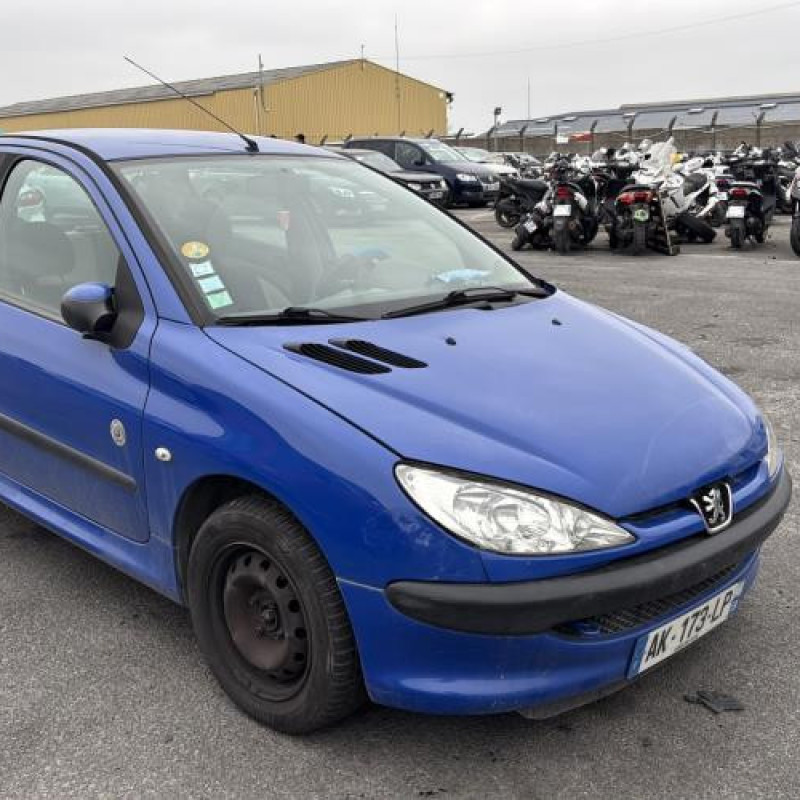 Porte avant gauche PEUGEOT 206 Photo n°8