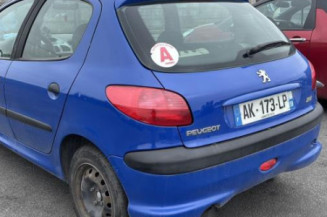 Porte avant gauche PEUGEOT 206