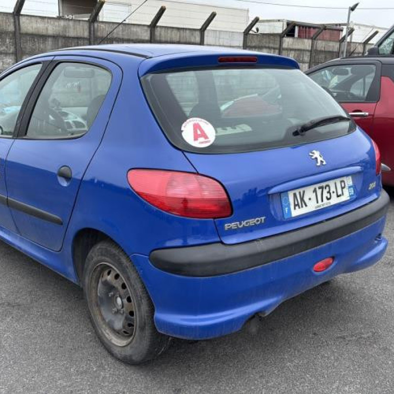 Porte avant gauche PEUGEOT 206 Photo n°10