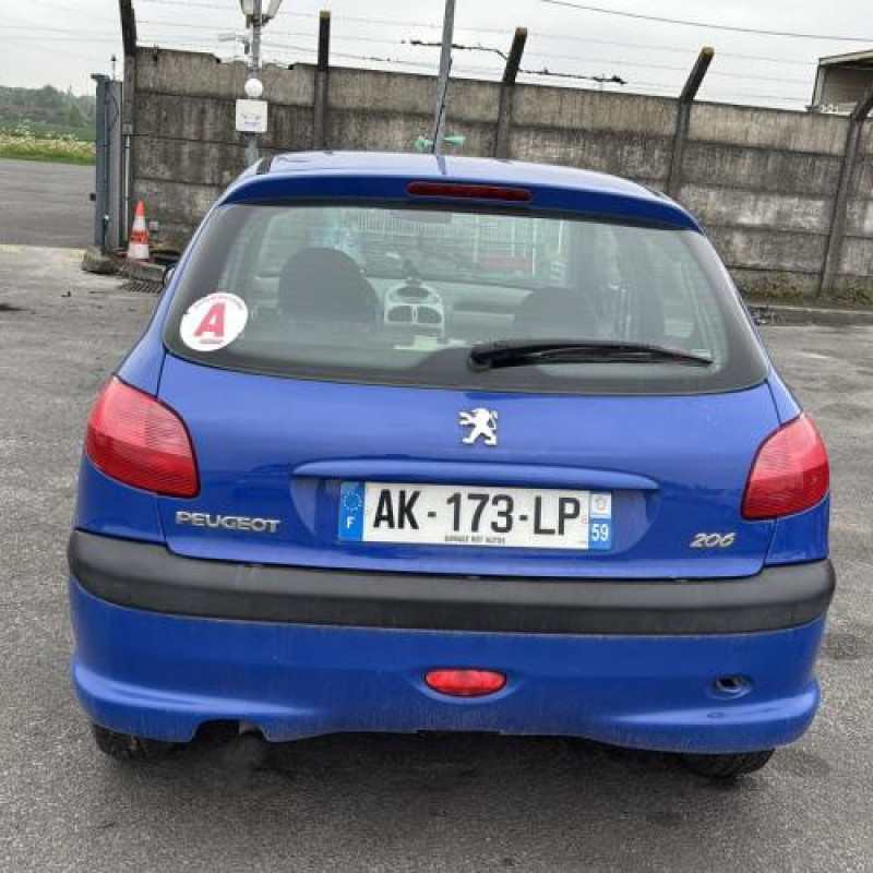 Porte avant gauche PEUGEOT 206 Photo n°11
