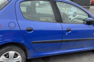 Porte avant gauche PEUGEOT 206