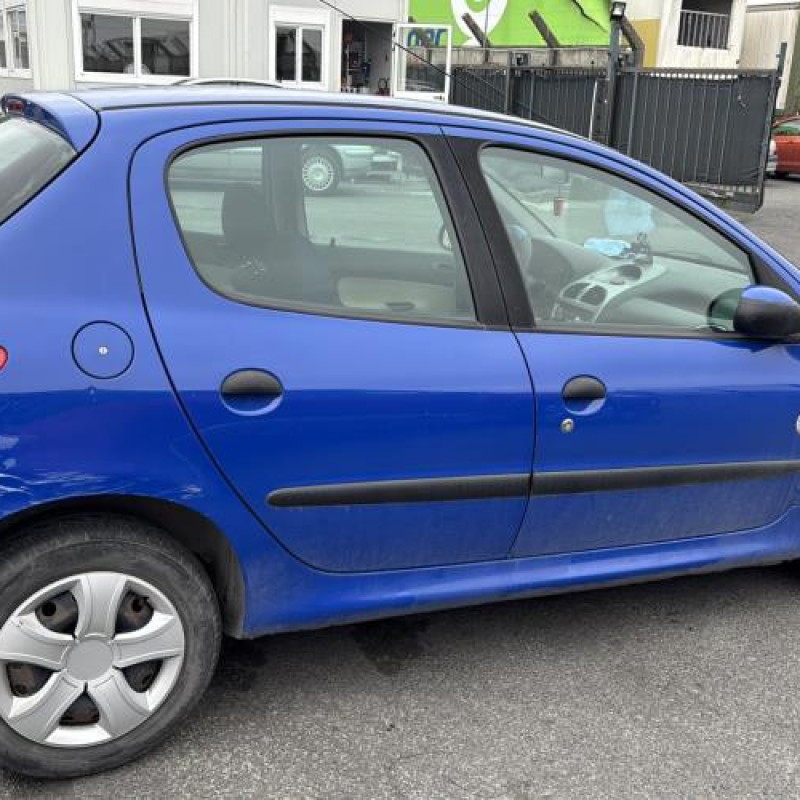 Porte avant gauche PEUGEOT 206 Photo n°12