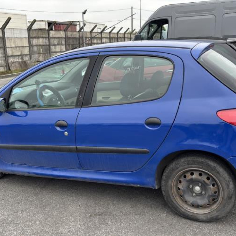 Porte avant gauche PEUGEOT 206 Photo n°13