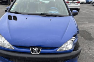 Porte avant gauche PEUGEOT 206