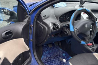 Porte avant gauche PEUGEOT 206