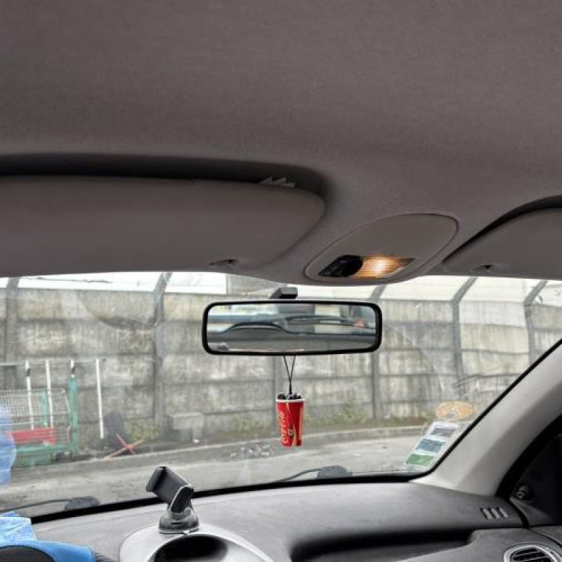 Porte avant gauche PEUGEOT 206 Photo n°19