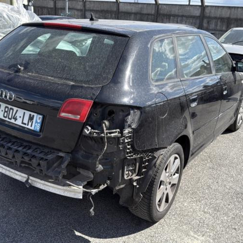 Porte avant gauche AUDI A3 2 Photo n°9