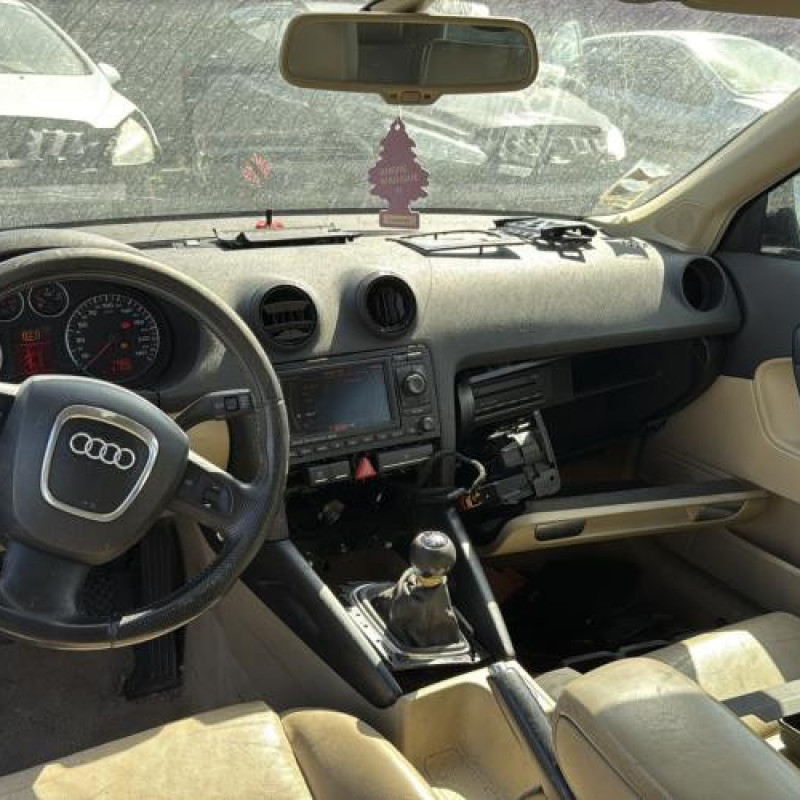 Porte avant gauche AUDI A3 2 Photo n°17