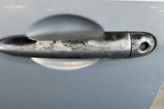 Porte avant gauche RENAULT MODUS
