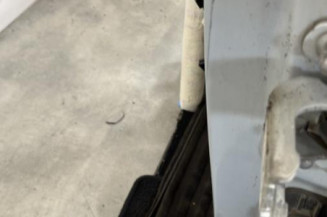 Porte avant gauche RENAULT MODUS