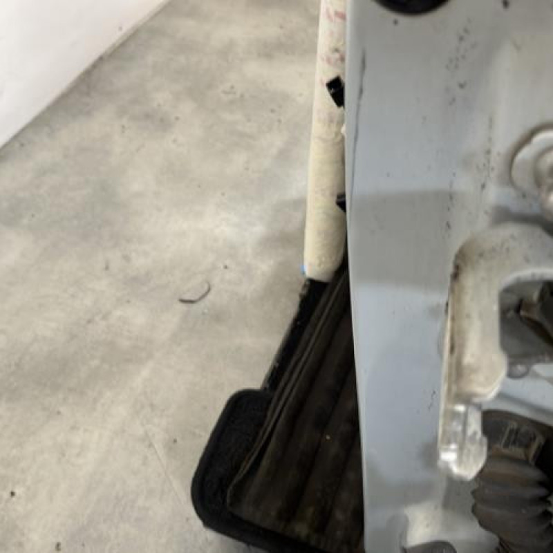 Porte avant gauche RENAULT MODUS Photo n°4