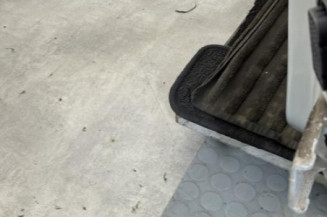 Porte avant gauche RENAULT MODUS