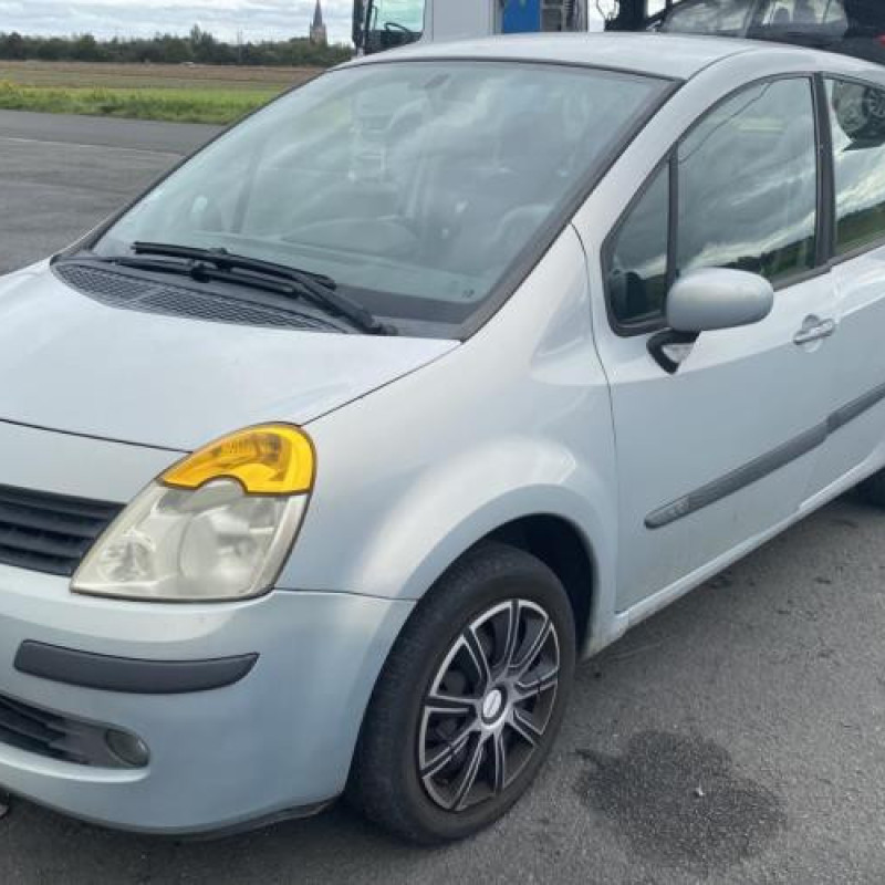 Porte avant gauche RENAULT MODUS Photo n°11