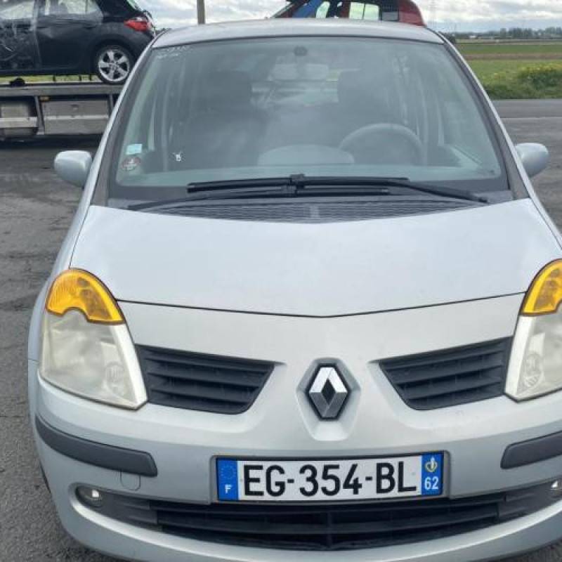 Porte avant gauche RENAULT MODUS Photo n°14