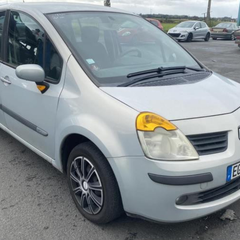 Porte avant gauche RENAULT MODUS Photo n°15