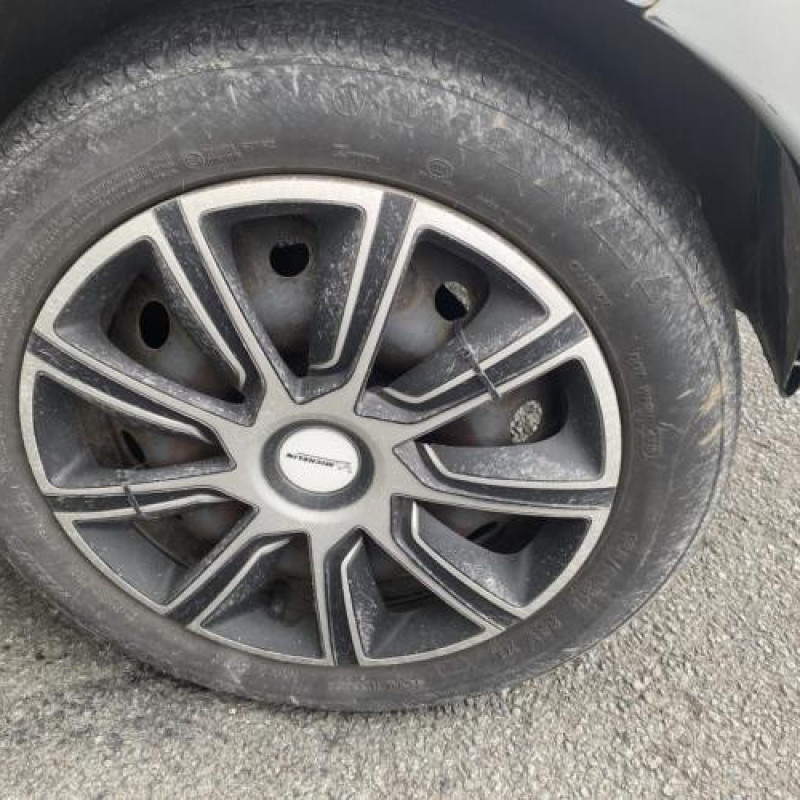 Porte avant gauche RENAULT MODUS Photo n°17