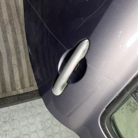 Porte arriere gauche RENAULT CLIO 3