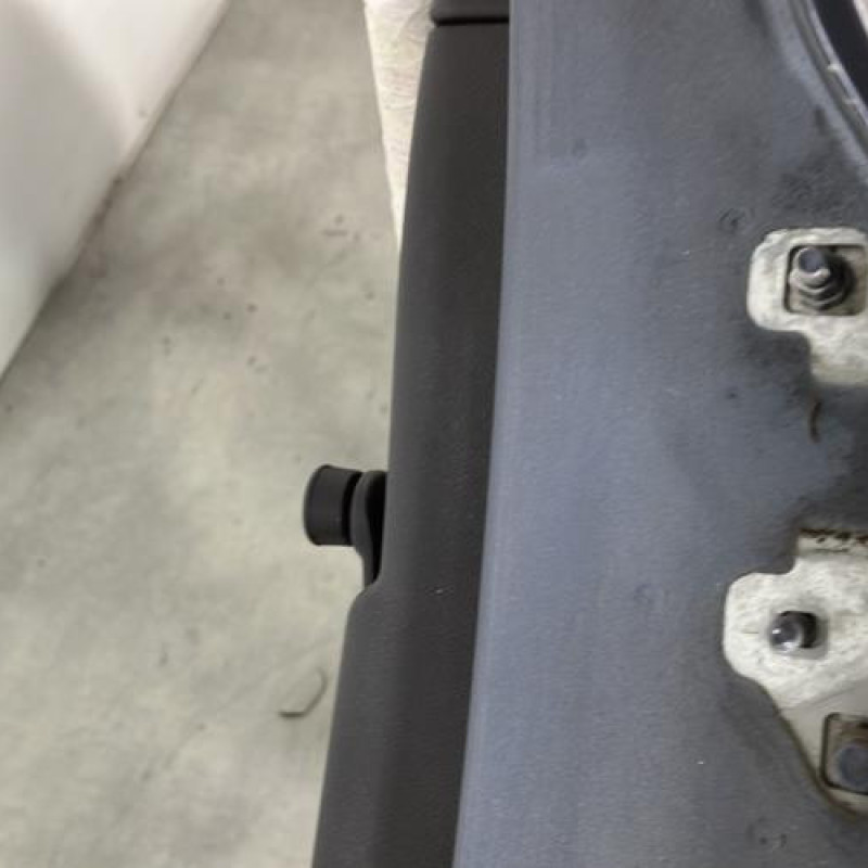 Porte arriere gauche RENAULT CLIO 3 Photo n°3