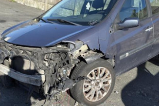 Porte arriere gauche RENAULT CLIO 3