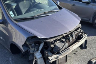 Porte arriere gauche RENAULT CLIO 3