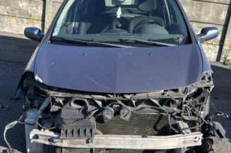 Porte arriere gauche RENAULT CLIO 3