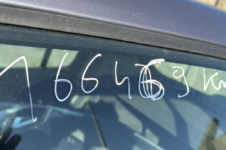 Porte arriere gauche RENAULT CLIO 3