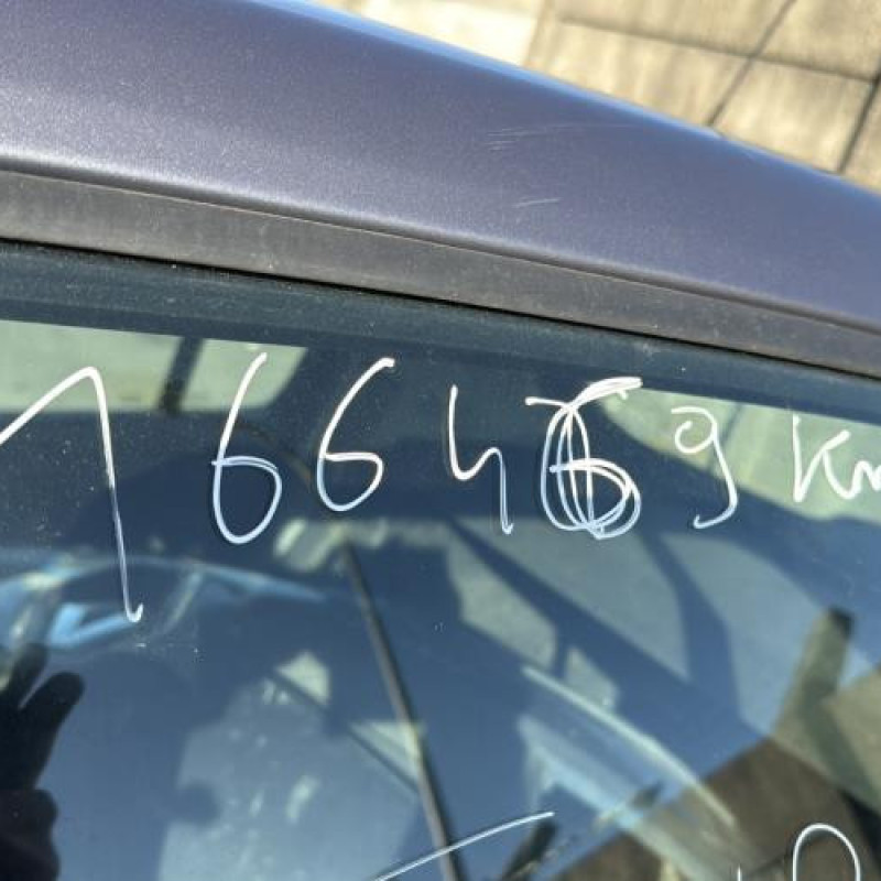 Porte arriere gauche RENAULT CLIO 3 Photo n°14