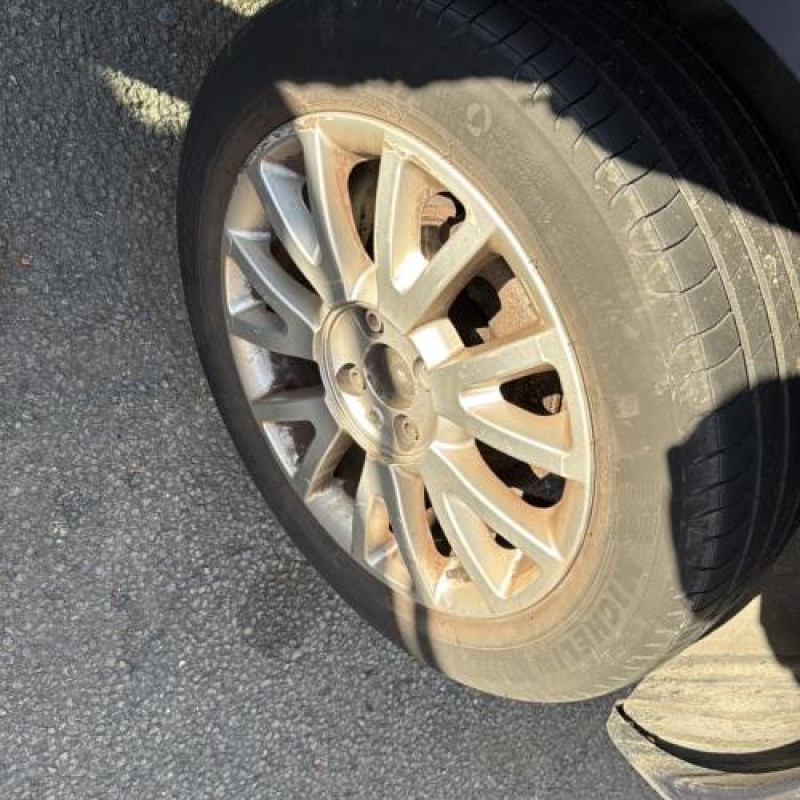 Porte arriere gauche RENAULT CLIO 3 Photo n°15