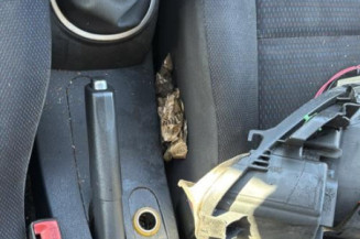 Porte arriere gauche RENAULT CLIO 3