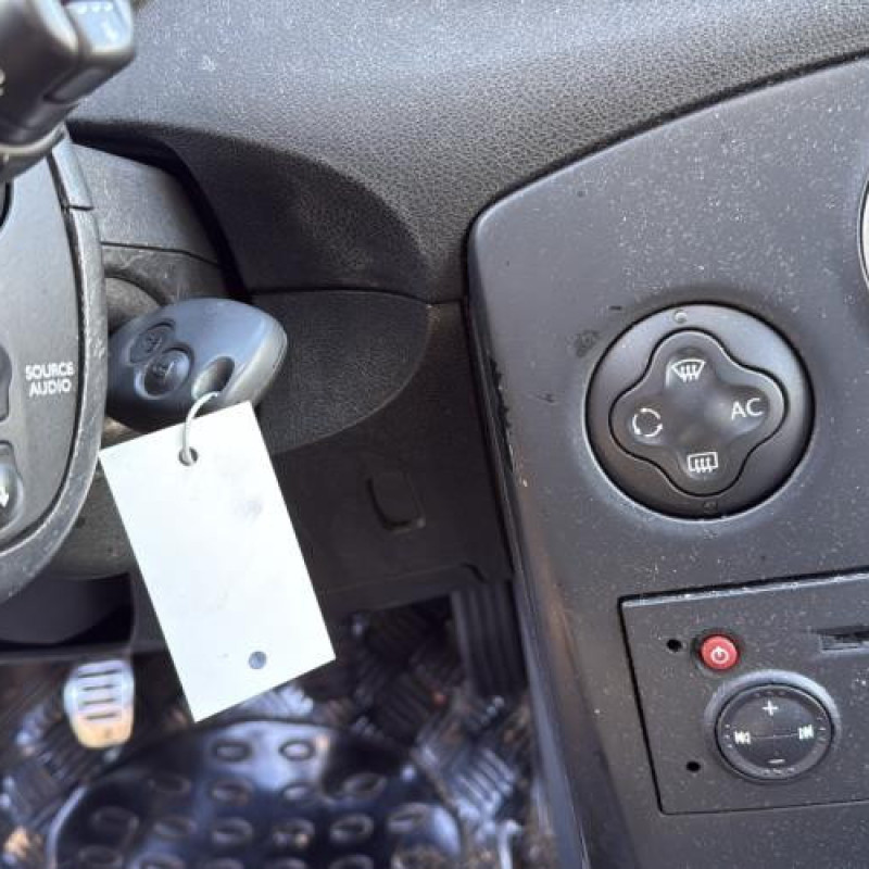 Porte arriere gauche RENAULT CLIO 3 Photo n°19