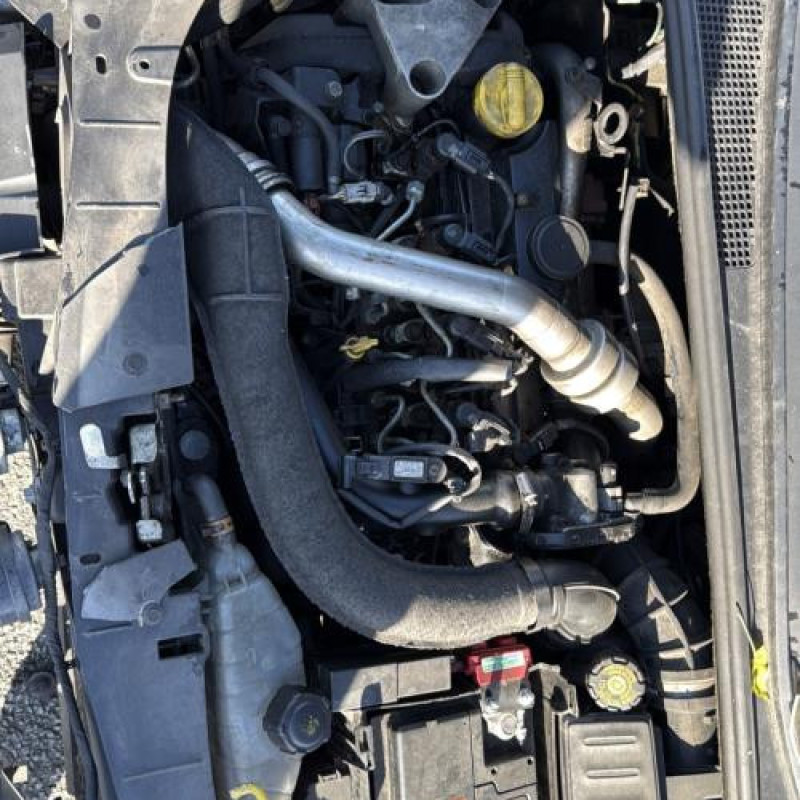 Porte arriere gauche RENAULT CLIO 3 Photo n°20