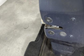 Porte avant droit RENAULT CLIO 3