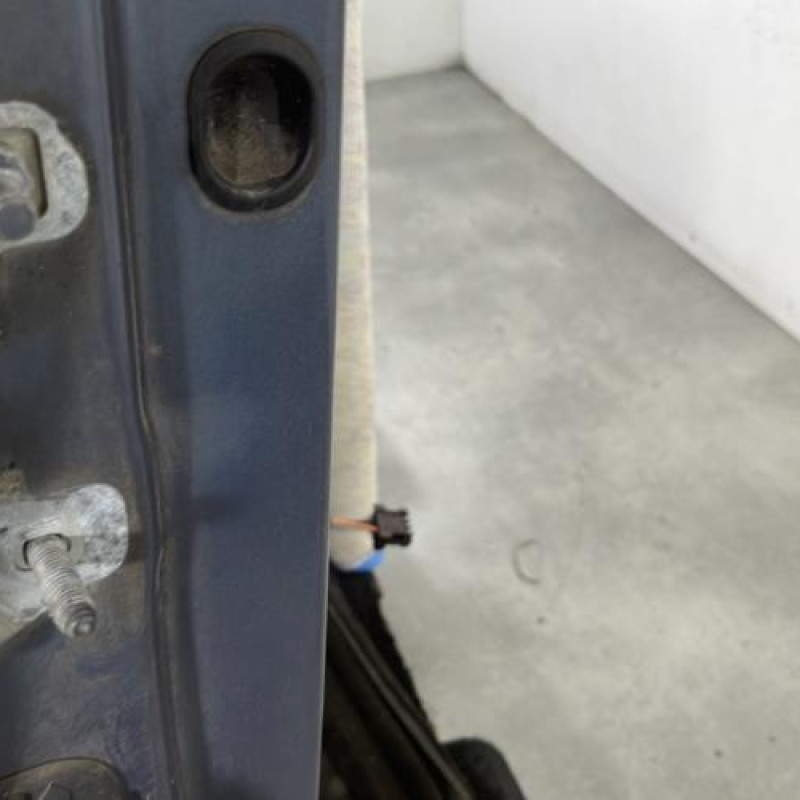 Porte avant droit RENAULT CLIO 3 Photo n°5