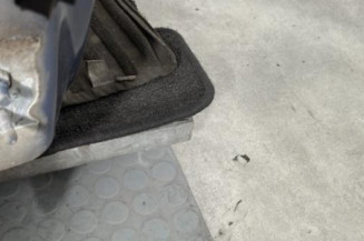 Porte avant droit RENAULT CLIO 3