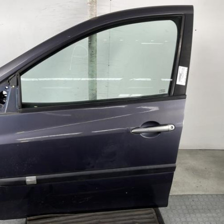 Porte avant gauche RENAULT CLIO 3 Photo n°1